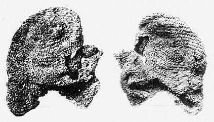 cufig17_18.jpg (48144 bytes)